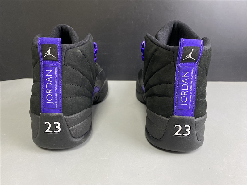 Air Jordan 12 Dark Concord(CT8013-005)